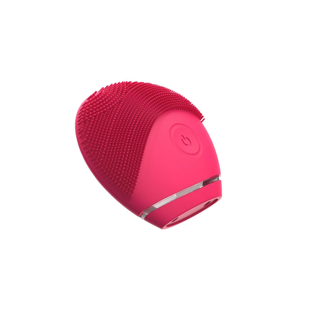 OEM mini facial massager (1)