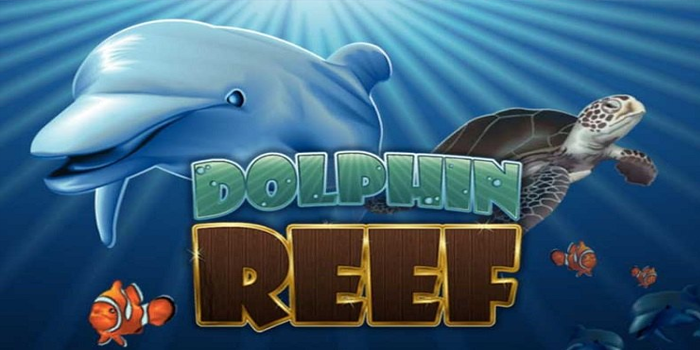Cara Meraih Jackpot Slot Dolphin Reef Dengan Strategi Cerdas